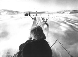  Foto: Slitta con renne - Siberia 1964 - Stampa vintage ai sali di argento © Mario De Biasi
