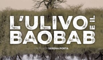 L’Ulivo e il Baobab